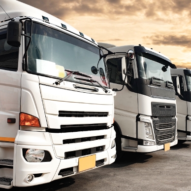 Leadership Evolution and Commitment to Excellence